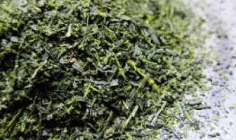 深蒸し茶
