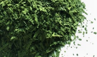 抹茶入り煎茶